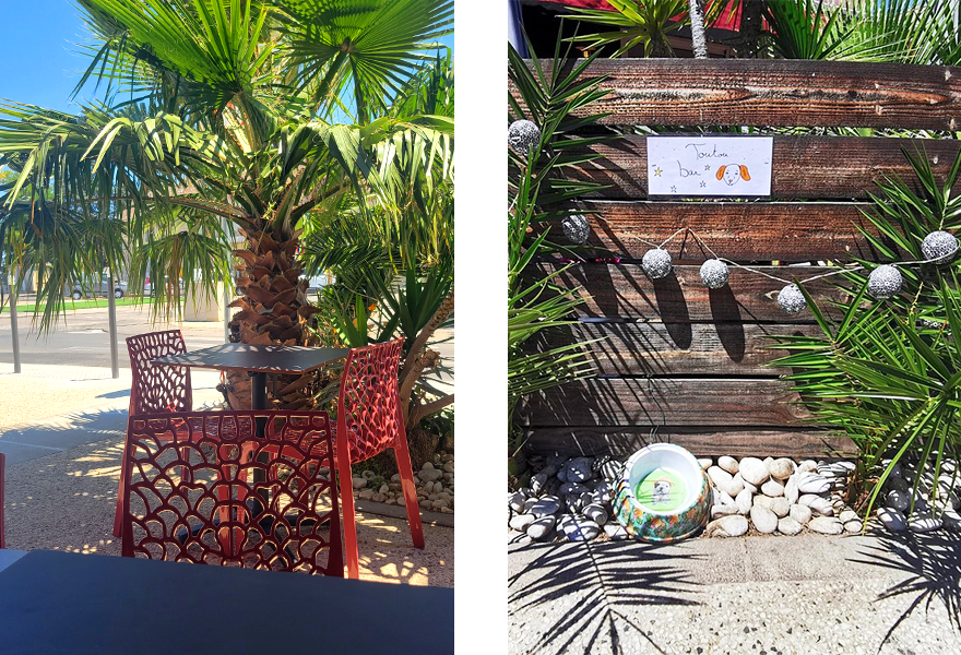 Le restaurant - Le Pistou - Bon restaurant au Grau du Roi - restaurant a faire LE GRAU-DU-ROI